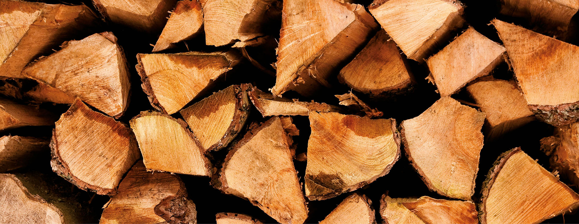 Heizen mit Holz und Biomasse